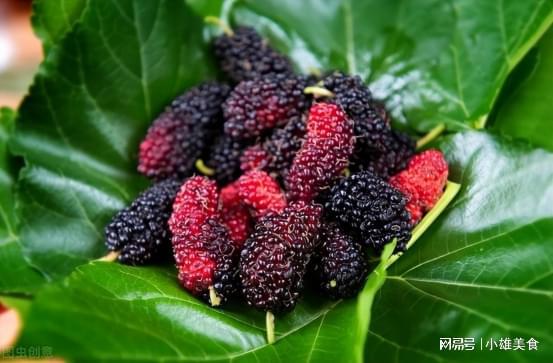 男性补硒食物有那些呢(补硒一般要连续补多久)-硒宝网