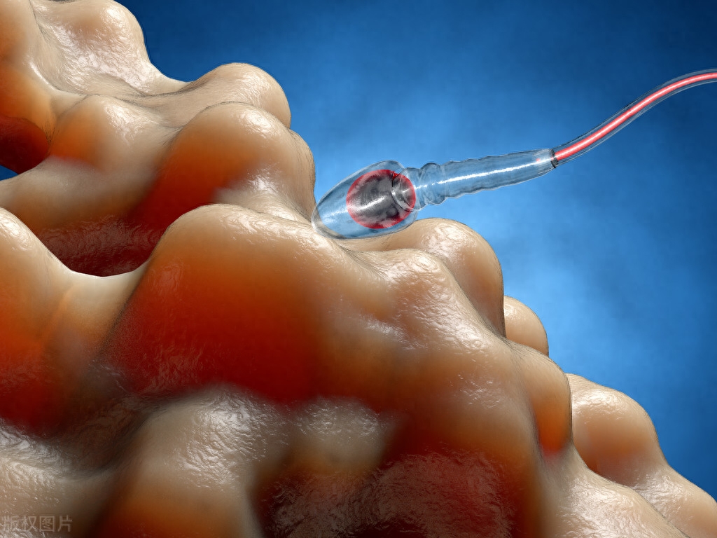 男人补锌补硒药有哪些(男人补锌补硒的作用功效)-硒宝网