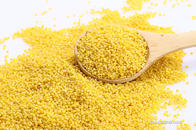 含有补硒的食物有哪些（食物含有硒元素）-硒宝网