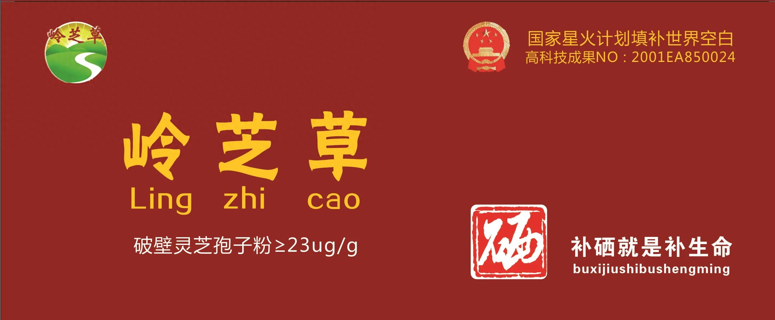 健康人不宜用药物补硒（补硒的药都有什么）-硒宝网