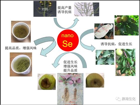 补硒对人体有几种功效（人体补硒的药物有哪些）-硒宝网