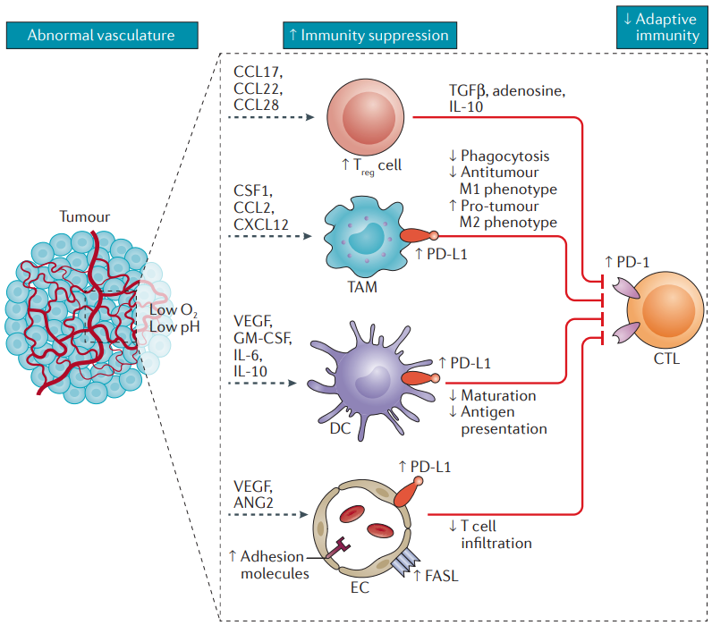 胃癌患者补硒有作用吗(胃癌可以吃硒吗)-硒宝网