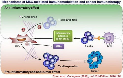 胃癌患者补硒有作用吗(胃癌可以吃硒吗)-硒宝网