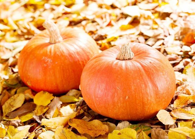 补硒会加重肾脏负担吗(加重负担补肾脏硒会怎么样)-硒宝网