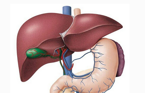 癌症晚期补硒有什么好(癌症晚期补好硒有什么好处)-硒宝网