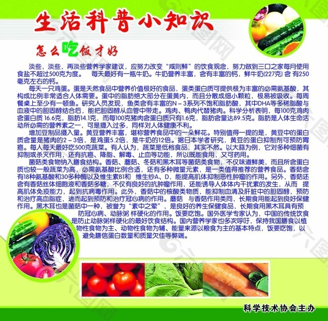补硒宣传活动方案设计（补充方案怎么写）-硒宝网