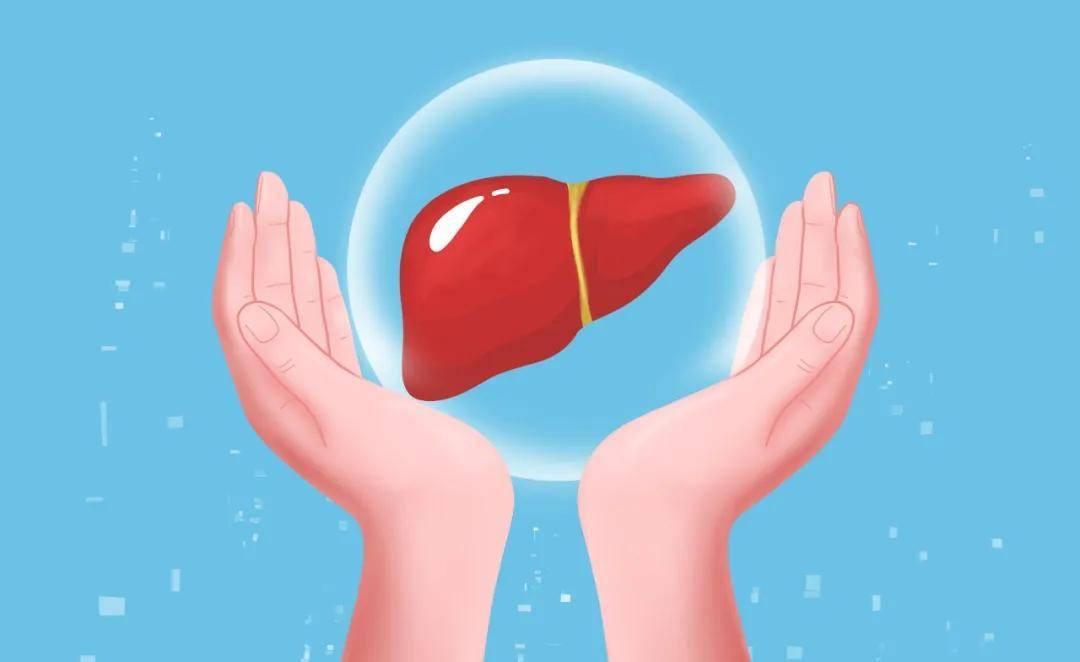 哪些是补硒食物和水果(补硒水果蔬菜)-硒宝网