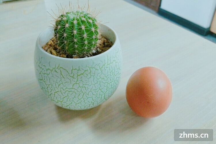 人体补硒有哪些功效呢（人体补硒的药物有哪些）-硒宝网