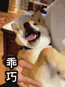 补硒可以直接吃药片吗（硒能与药物同服吗）-硒宝网