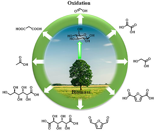 人体为什么补硒推荐吃(吃补硒保健品可以吗)-硒宝网