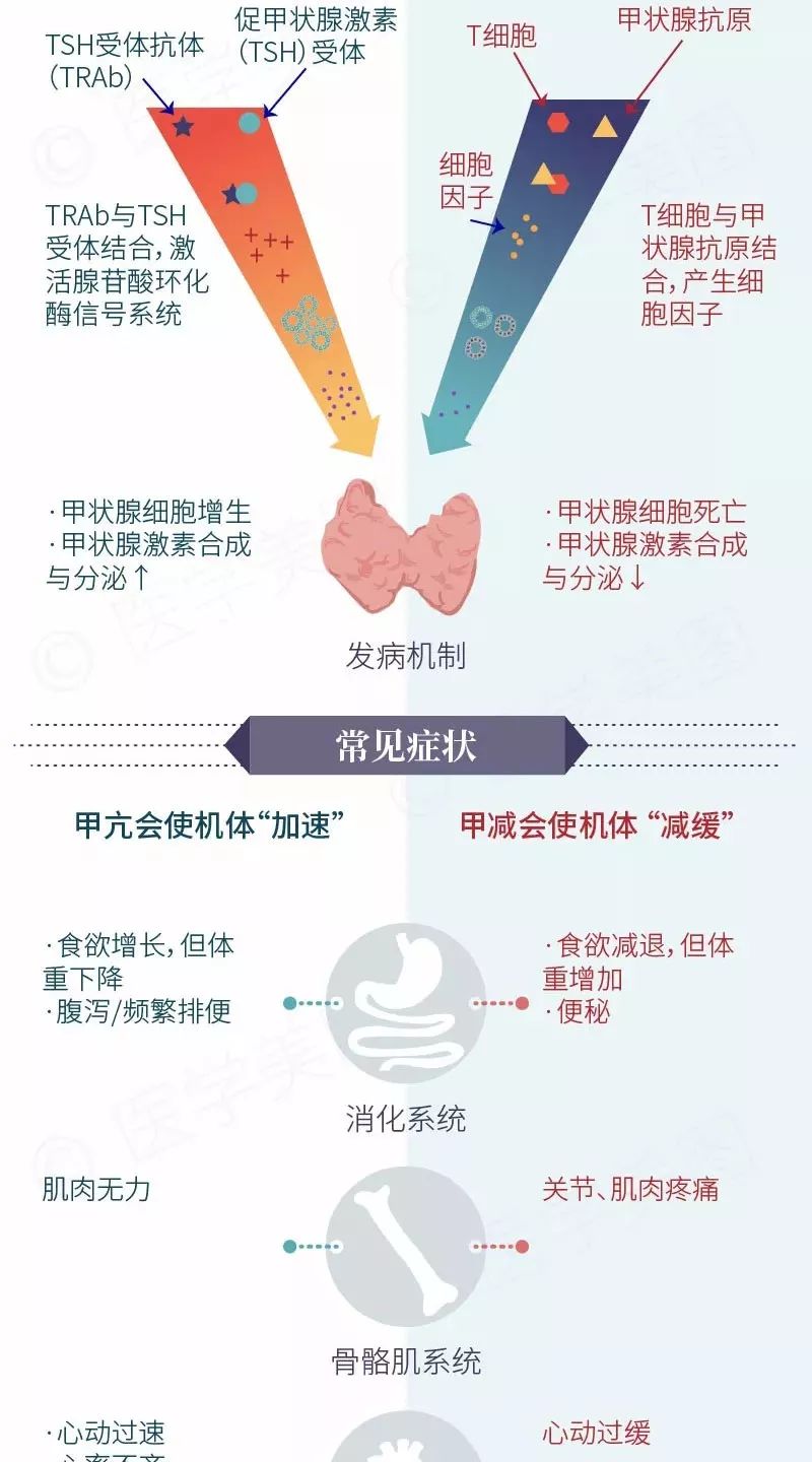 眼睛肿可以补硒吗女性(眼睛补硒有什么好处)-硒宝网