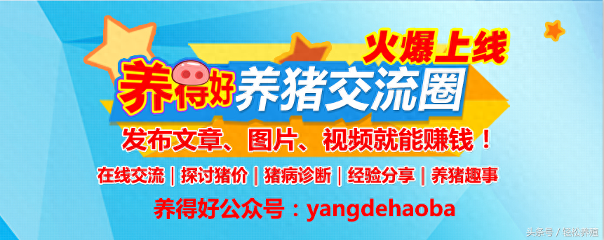 仔猪出生后需要补硒吗(新生小猪补硒补多少)-硒宝网