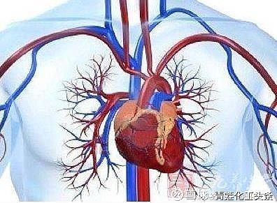 血脂异?；箍梢圆刮铮ㄎ匝泻檬裁春么Γ?硒宝网