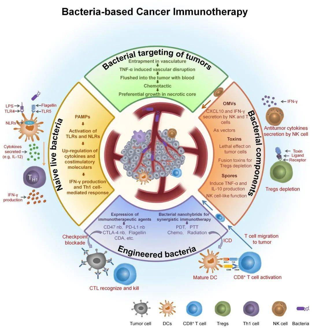 哪个地区不能补硒了呢(硒可以补吗)-硒宝网