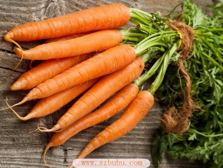 羔羊补硒补钙用什么药(给羊补硒)-硒宝网