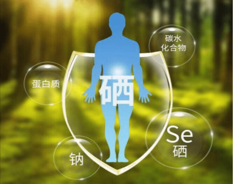 补硒保护肠胃吗吃多少（新硒望科学补硒协会）-硒宝网