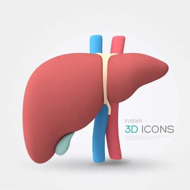 患过乙肝的人怎么补硒(乙肝病人补硒后有什么反应)-硒宝网