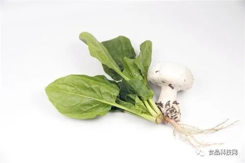 什么东西补硒效果最好（补硒效果好的有哪些药）-硒宝网