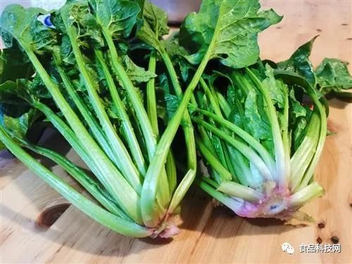 什么东西补硒效果最好（补硒效果好的有哪些药）-硒宝网