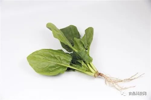 什么东西补硒效果最好（补硒效果好的有哪些药）-硒宝网