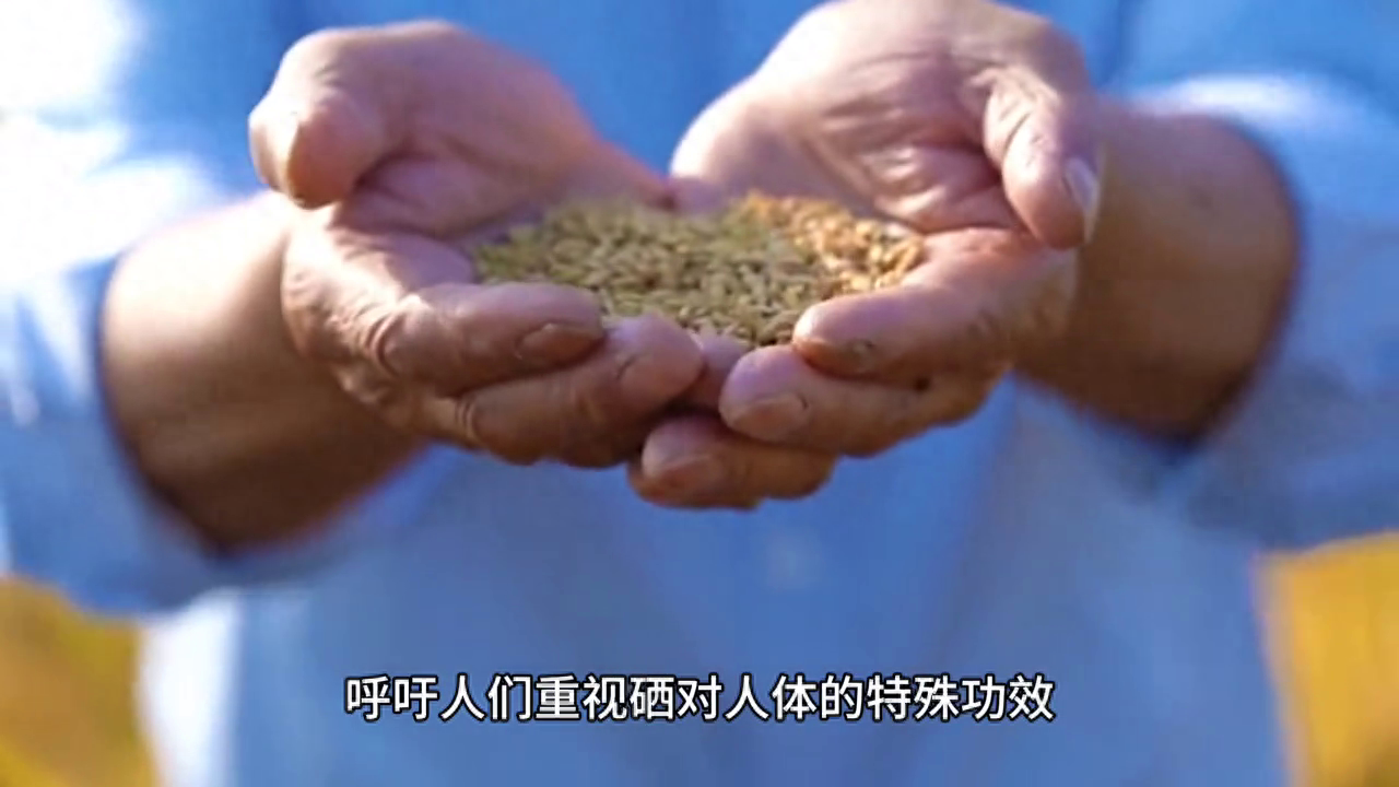 每日补硒安全量是多少(每日补量安全硒是多少)-硒宝网