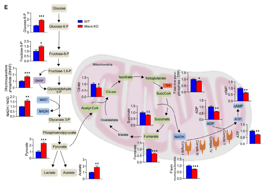 补硒能预防单纯病毒吗（补硒能有效预防什么?。?硒宝网