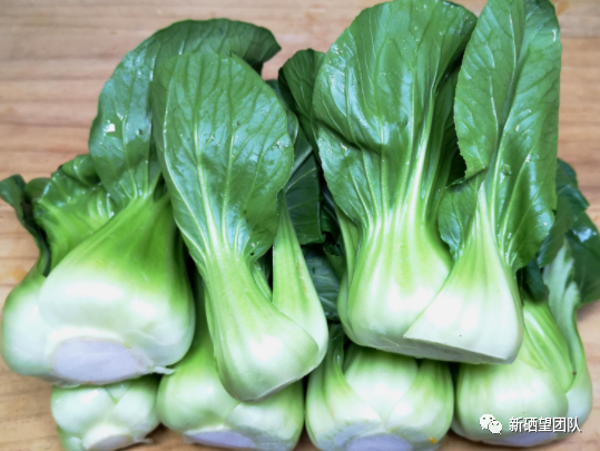 适当的补硒有哪些食物(新硒望科学补硒协会)-硒宝网