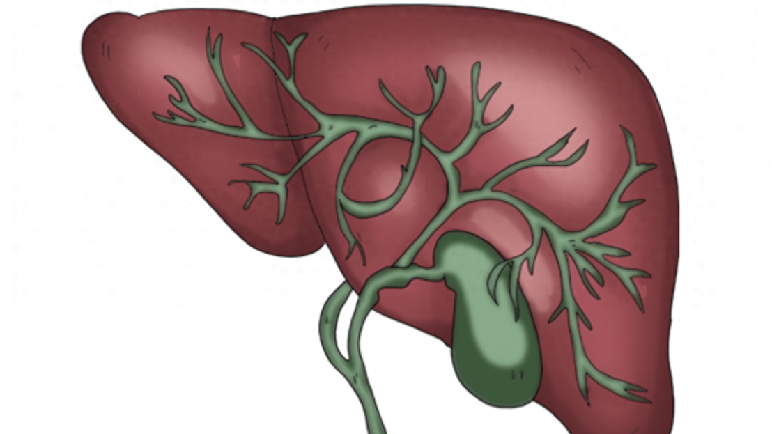补硒的食物有什么症状（补充硒类的食物有哪些）-硒宝网