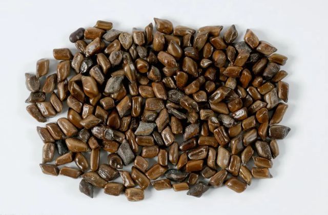 黄芪泡水能补硒元素吗(大量补硒能抗癌吗)-硒宝网