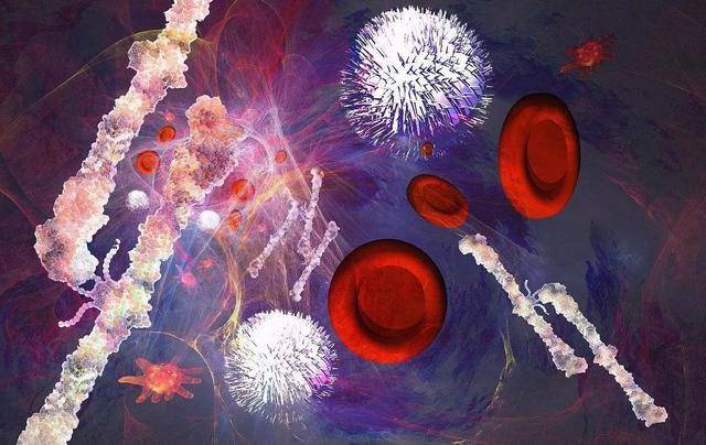 补硒能提高嘌呤代谢吗（代谢能补嘌呤提高硒吗）-硒宝网