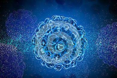 补硒能提高嘌呤代谢吗（代谢能补嘌呤提高硒吗）-硒宝网