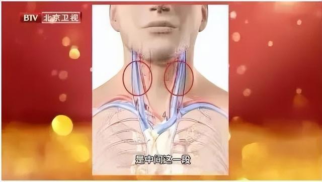 血脂异常还可以补硒吗（补异常血脂硒可以长期吃吗）-硒宝网