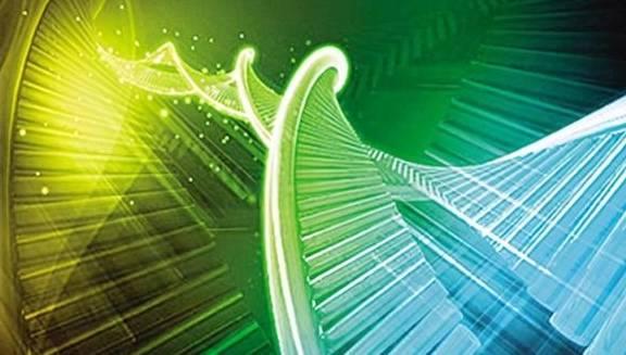 中老年需要补叶酸和硒（叶酸中老年是要经常服吗）-硒宝网