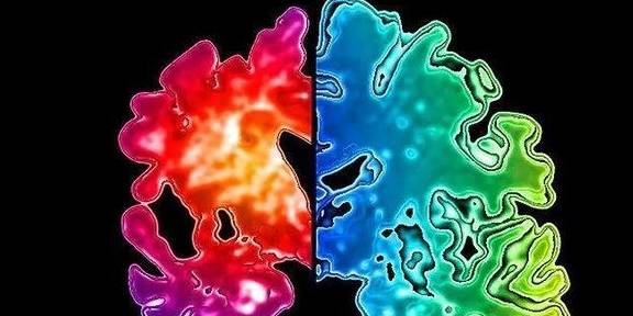 中老年需要补叶酸和硒(中老年人补叶酸)-硒宝网