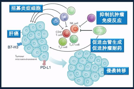 长年补硒的作用与功效（硒的作用和补硒的好处百度百科）-硒宝网