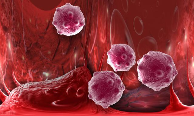 长年补硒的作用与功效（硒的作用和补硒的好处百度百科）-硒宝网