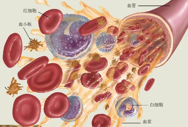 补硒可以治疗高血压吗（血压补治疗高硒可以吗）-硒宝网