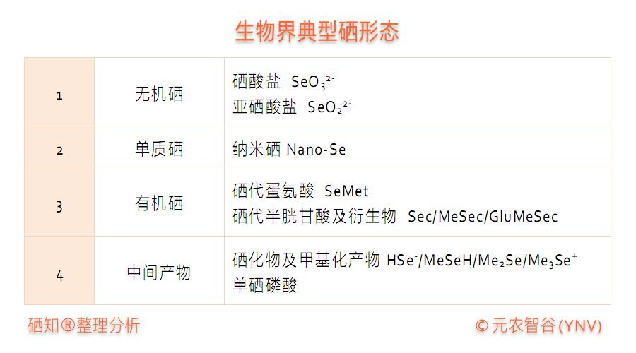 怎样补硒更健康更有效(健康人补硒)-硒宝网
