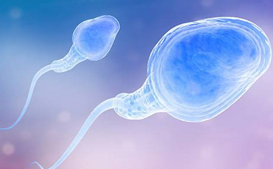 补硒能提高精子活力吗(补硒能提高性功能吗)-硒宝网