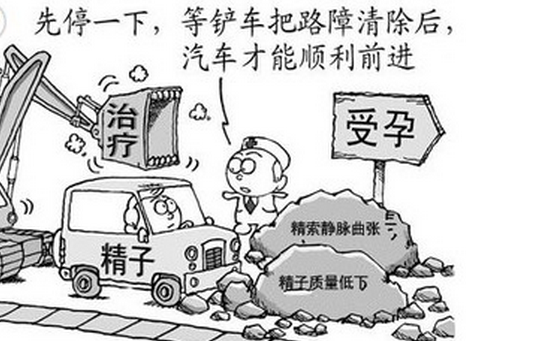 补硒能提高精子活力吗(补硒能提高性功能吗)-硒宝网