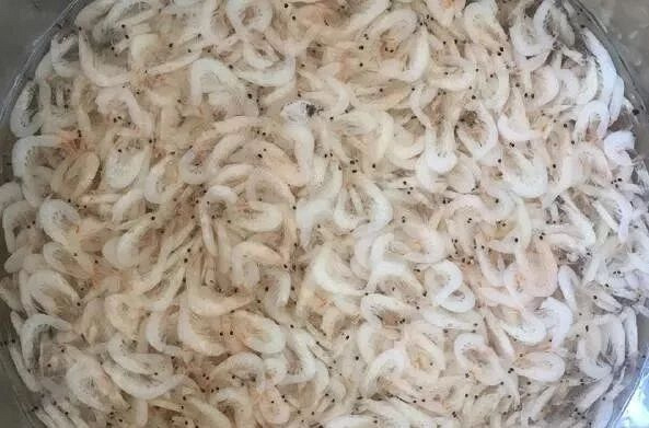 虾皮的营养价值 补硒(虾皮的营养价值和做法大全)-硒宝网