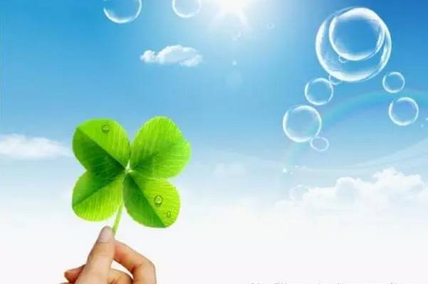 补硒有什么功效作用呢(硒的作用和补硒的好处图片)-硒宝网