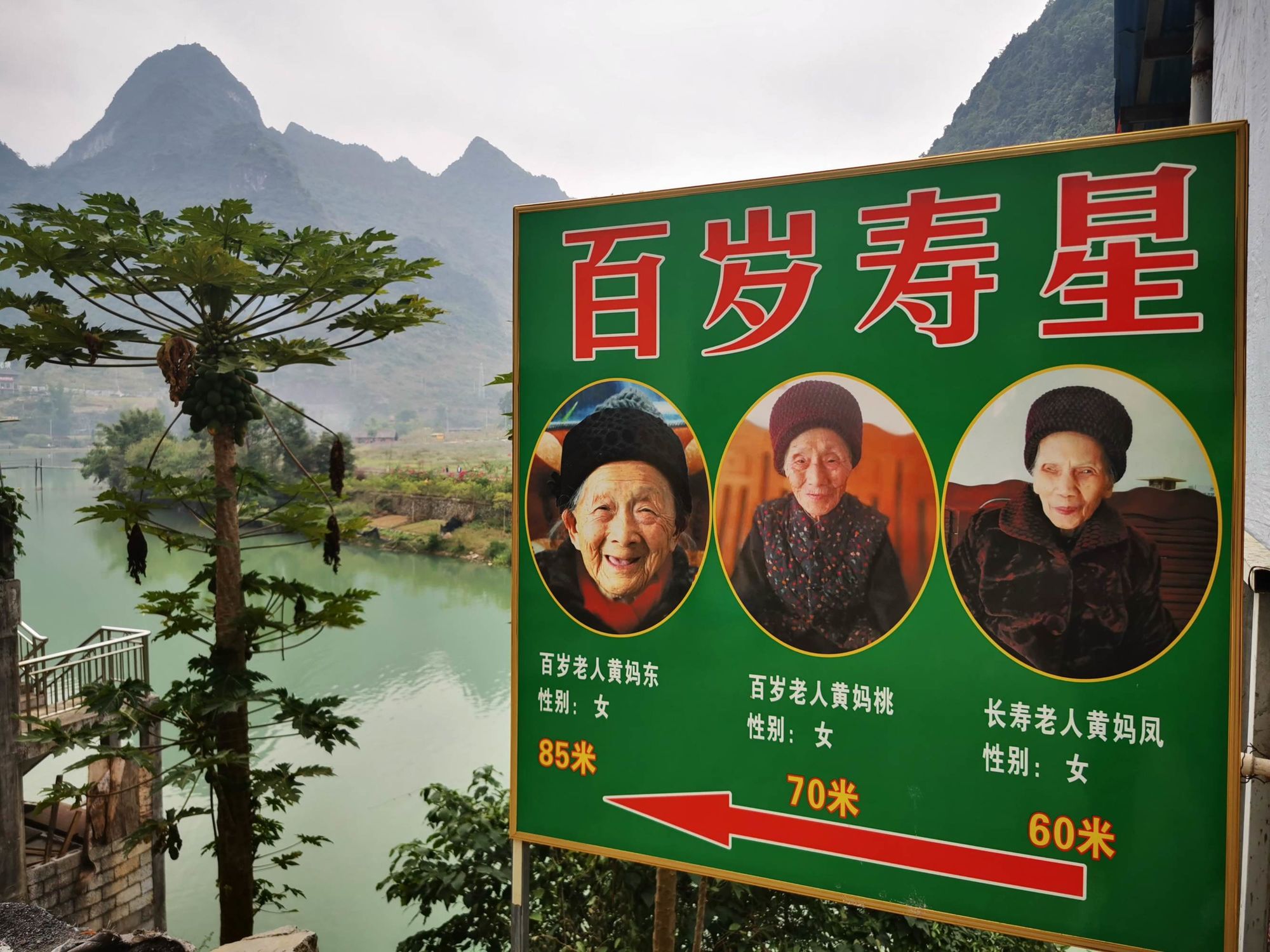 痛风的人补硒有作用吗(痛风可以吃硒的保健品)-硒宝网