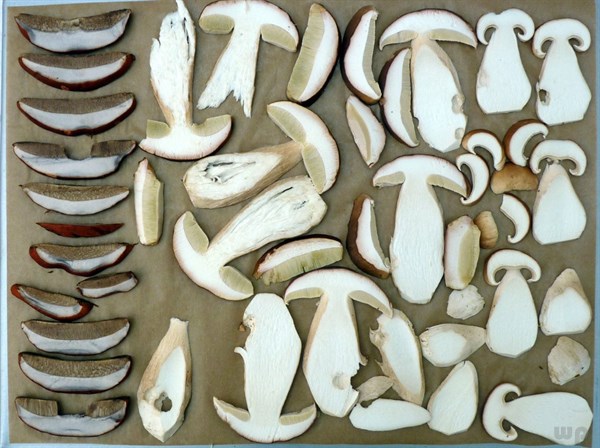 肝病吃哪种补硒元素好(补硒对肝脏的好处吗)-硒宝网