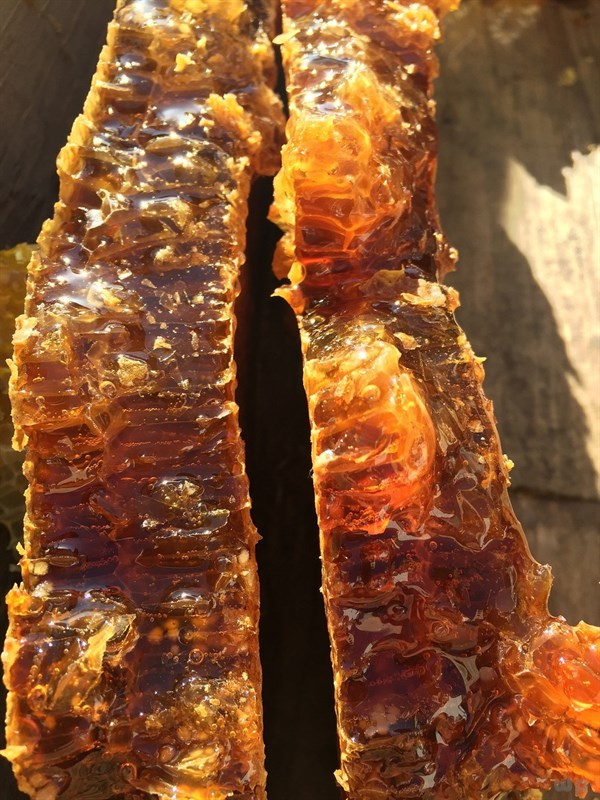 肝病吃哪种补硒元素好(补硒对肝脏的好处吗)-硒宝网