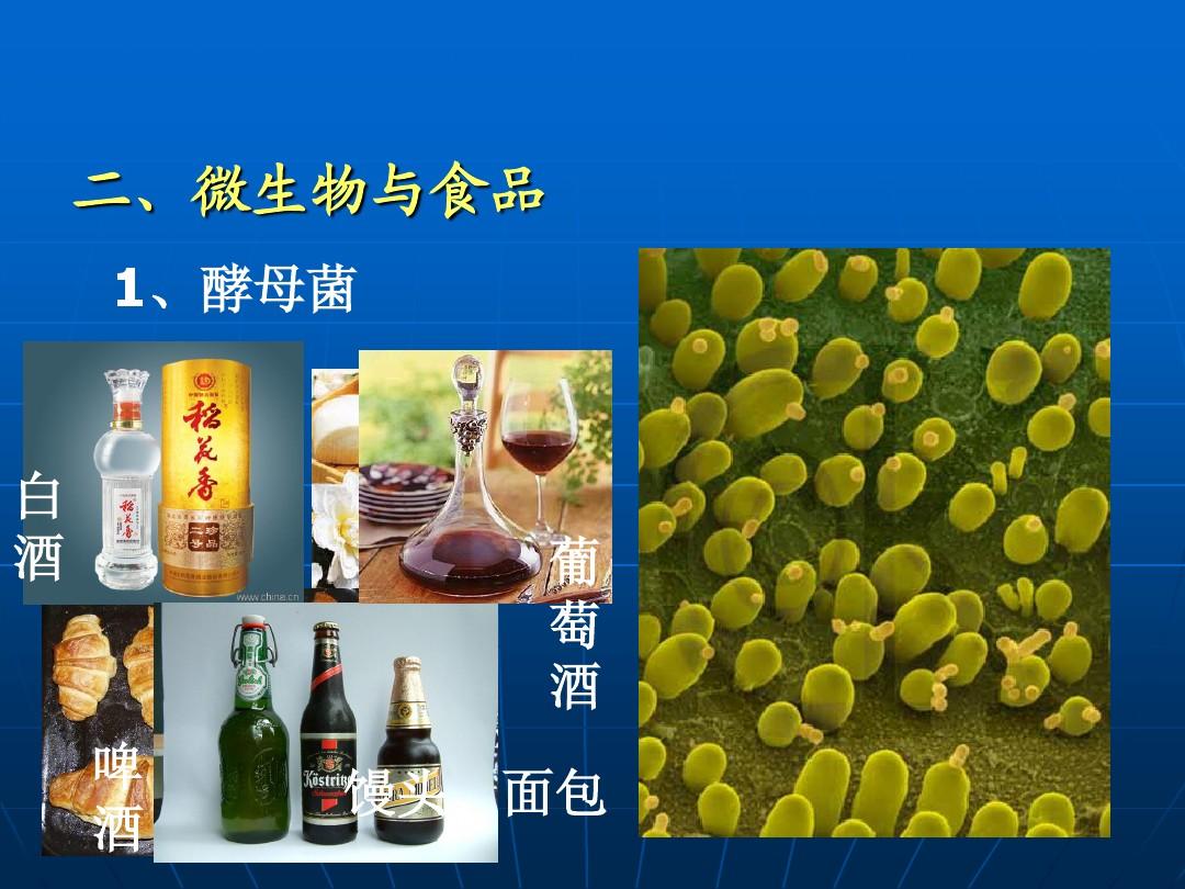 怎么给蔬菜补硒肥料呢(蔬菜补肥料硒含量标准)-硒宝网