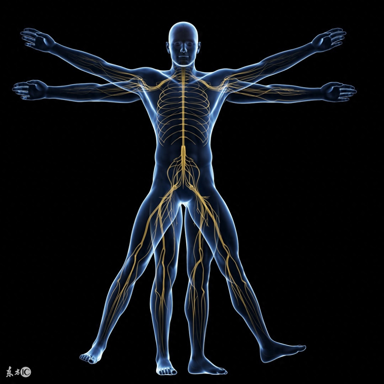补硒后全身瘙痒啥情况(补硒后的排毒反应皮肤有疙瘩)-硒宝网