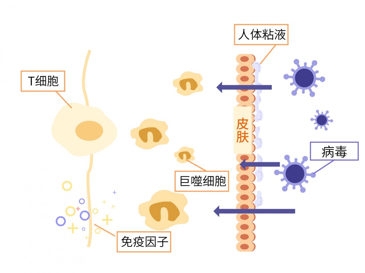 补硒对化疗药物有影响(化疗病人补硒有效果吗)-硒宝网