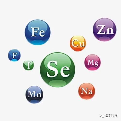 补锌的时候需要补硒吗（补锌补硒能起到什么作用）-硒宝网