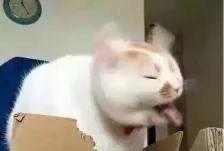 备孕男性每天补多少硒（每天男性补备孕硒多少）-硒宝网